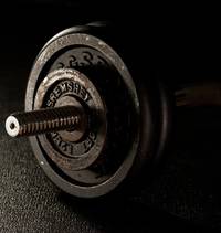 spier-training
