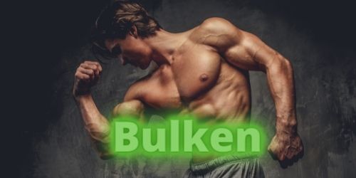 Bulken