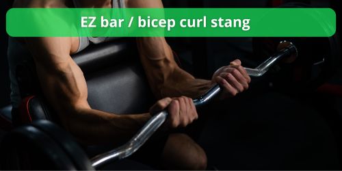 ez bar bicep curl stang
