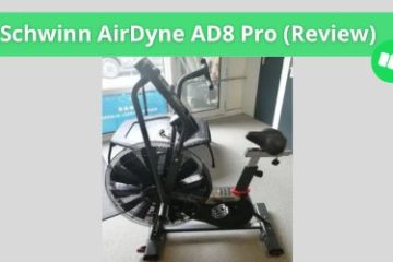 schwinn airdyne ad8 pro