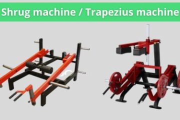 shrug machine trapezius machine