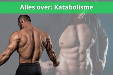 alles over katabolisme