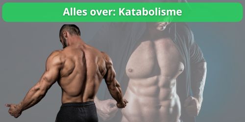 alles over katabolisme