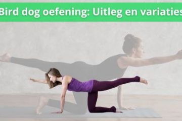 bird dog oefening uitleg en variaties