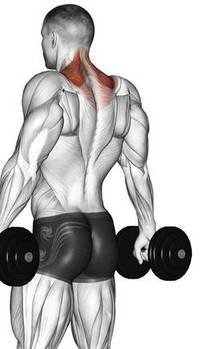dumbbell-shrug