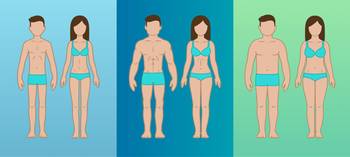 ectomorf-endomorf-mesomorf