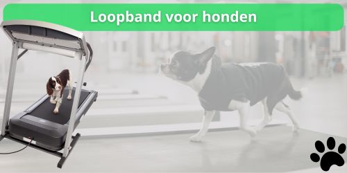 loopbanden voor honden