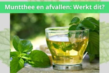 muntthee en afvallen werkt dit