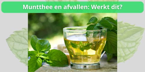 muntthee en afvallen werkt dit