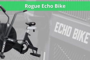 rogue echo bike het kopen waard