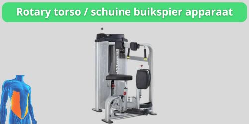 rotary torso machine kopen
