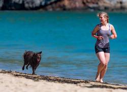 samen-met-hond-hardlopen