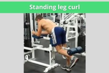 standing leg curl uitleg