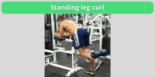 standing leg curl uitleg