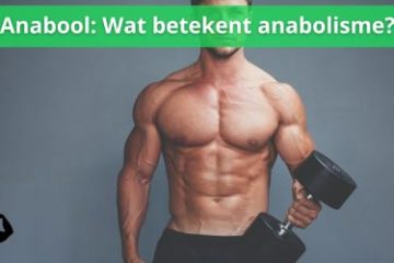 anabool wat betekent anabolisme