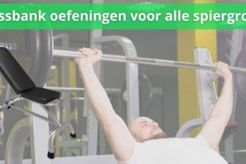 fitnessbank oefeningen voor alle spiergroepen