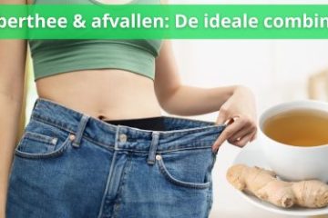is afvallen met gemberthee de ideale combinatie