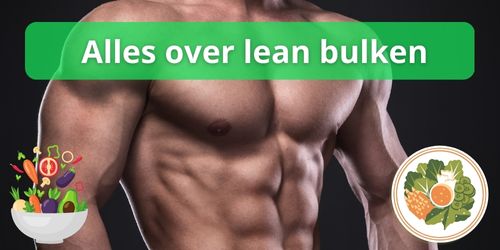 lean bulken