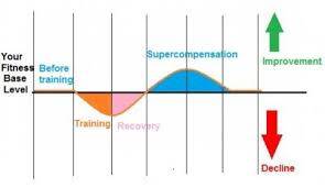 spierherstel-grafiek