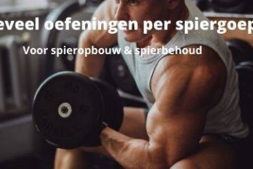 hoeveel-oefeningen-per-spiergroep