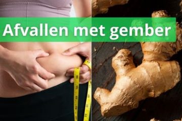 Onze ervaring afvallen met gember