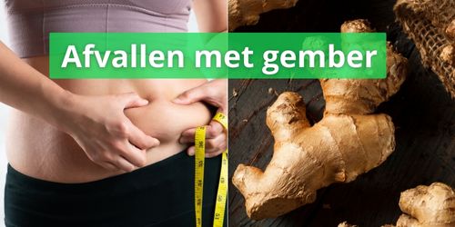 Afvallen met gember, kan dat? Uitleg & Ervaringen
