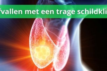 Trage schildklier ervaringen met afvallen