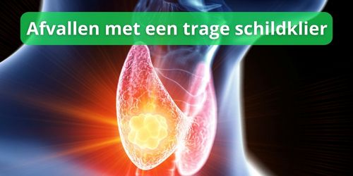 Trage schildklier ervaringen met afvallen