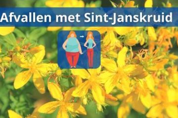 met sint-janskruid afvallen