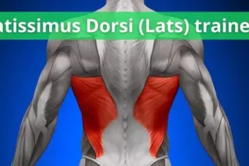 Lats spiergroep trainen