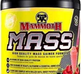 mammoth-mass