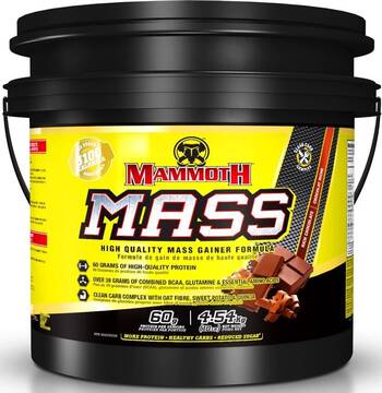 mammoth-weight-gainer