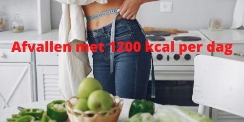 Afvallen met 1200 kcal per dag