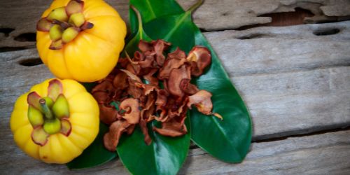 Garcinia Cambogia vrucht