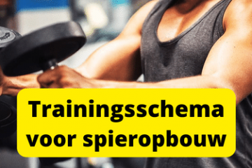Trainingsschema voor spieropbouw