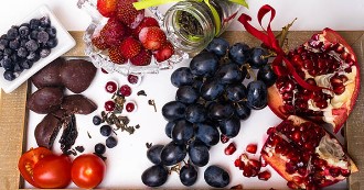 Resveratrol fruit