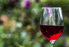 Rode wijn resveratrol