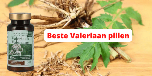 Beste Valeriaan pillen