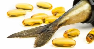 Levertraan supplement kopen