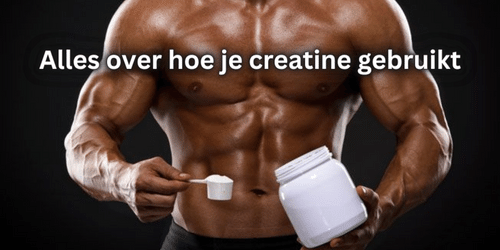Alles over hoe je creatine gebruikt