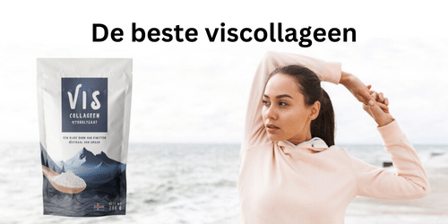 review viscollageen