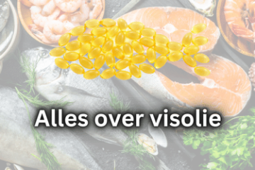 Alles over visolie