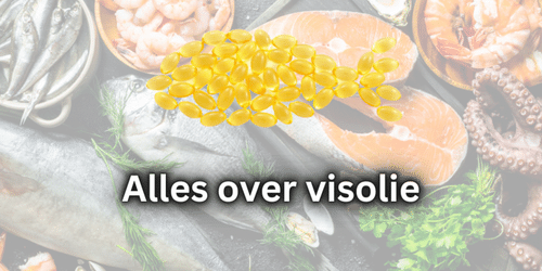 Alles over visolie
