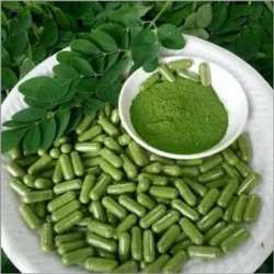 Moringa poeder of pillen
