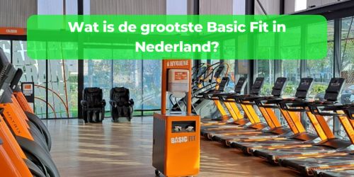 grootste basic fit nederland